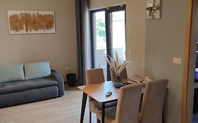 Spacious Modern Apartment